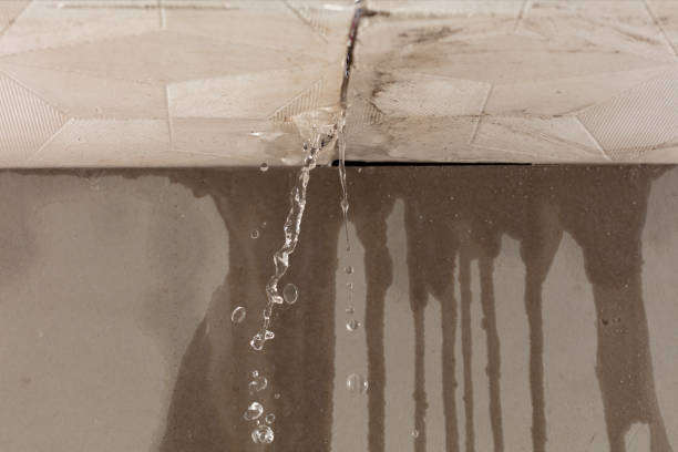 Professional Sewage Cleanup technician working in Forest Lake, MN